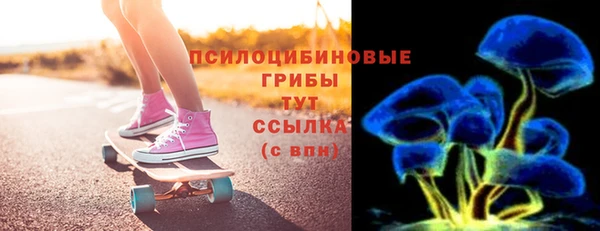 ПСИЛОЦИБИНОВЫЕ ГРИБЫ Михайловск