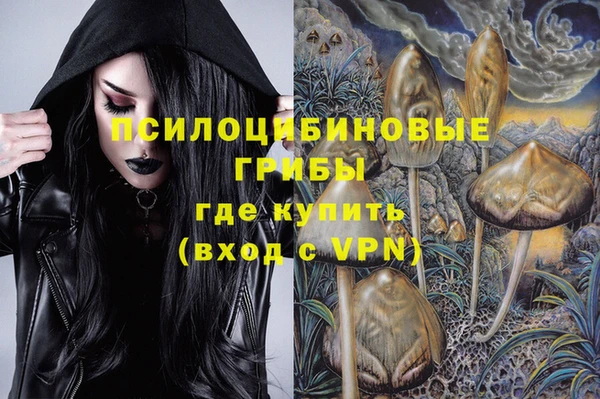 ПСИЛОЦИБИНОВЫЕ ГРИБЫ Михайловск