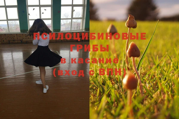 ПСИЛОЦИБИНОВЫЕ ГРИБЫ Михайловск