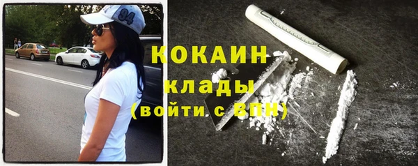 сатива Надым