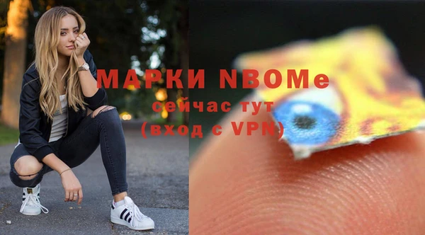 сатива Надым