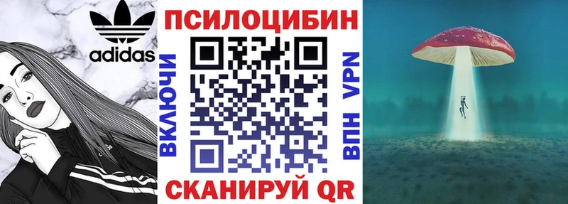 площадка Telegram Новоалександровск Псилоцибиновые грибы MAGIC MUSHROOMS